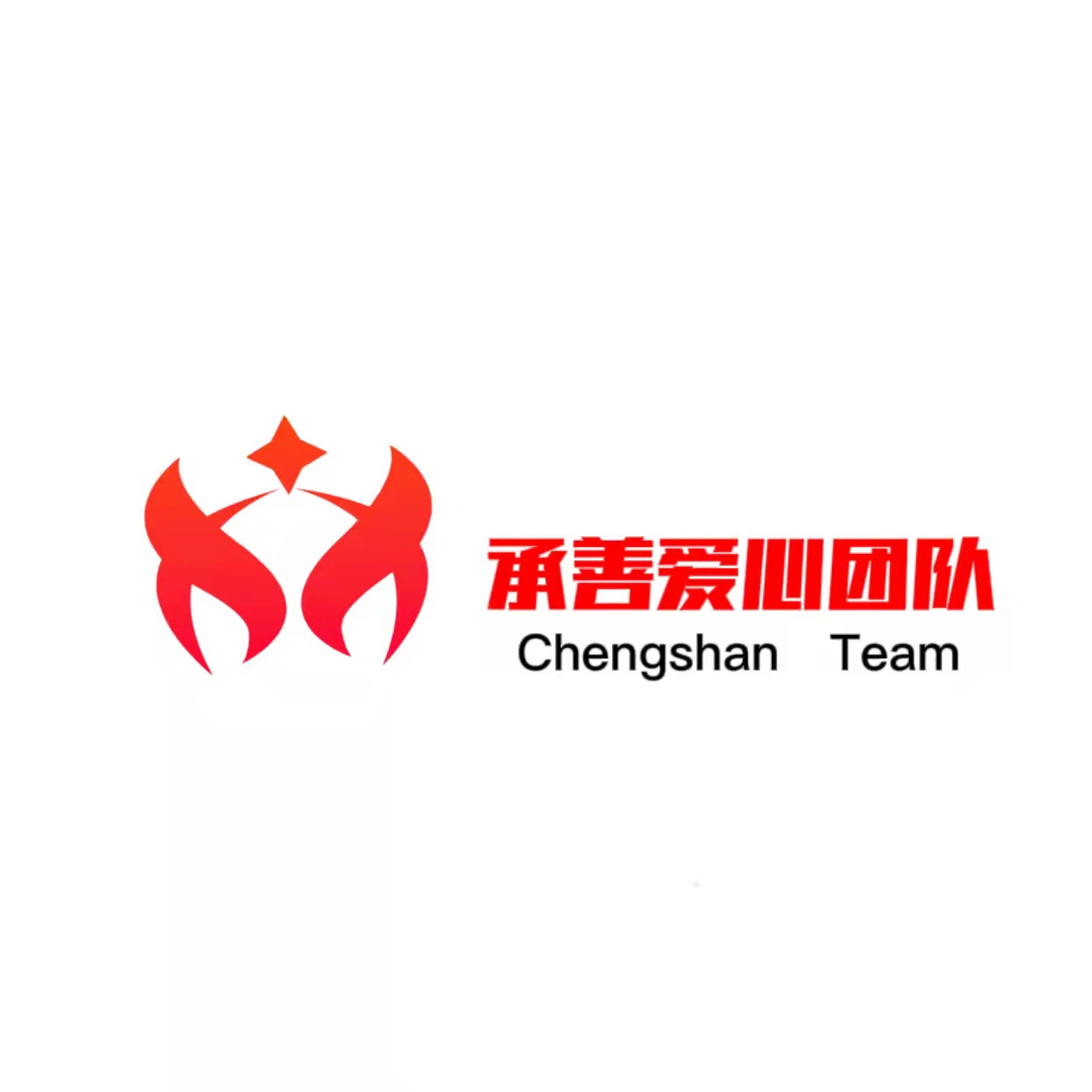 承善爱心管理团队：凝心聚力，共创美好未来-第8张图片-ZBLOG